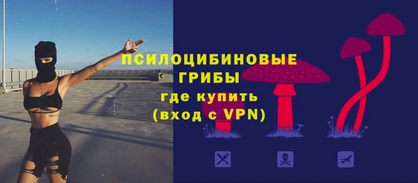 гидропоника Приозерск