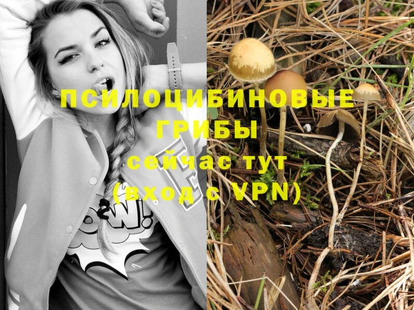 шишки Пролетарск
