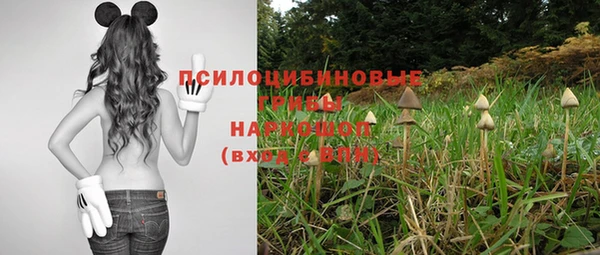 шишки Пролетарск